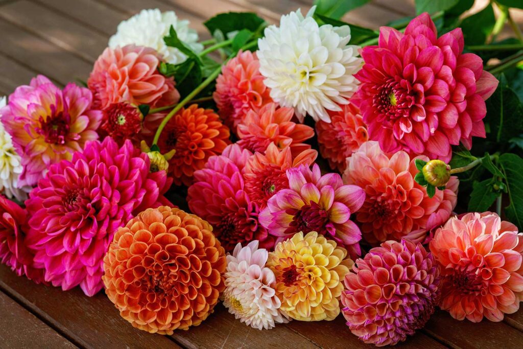 Floral Industry 2025: Sales Compensation Models